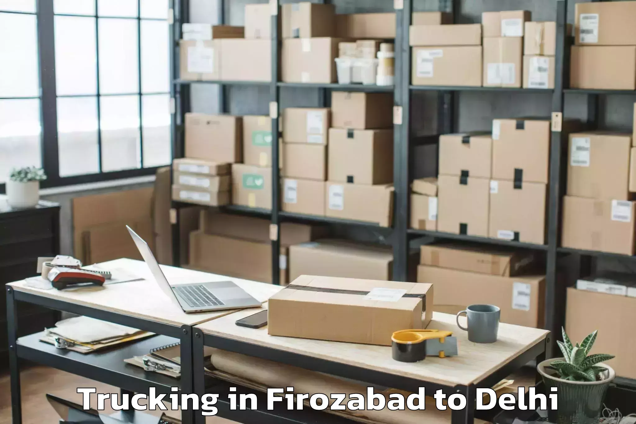 Top Firozabad to Ambience Mall Vasant Kunj Trucking Available